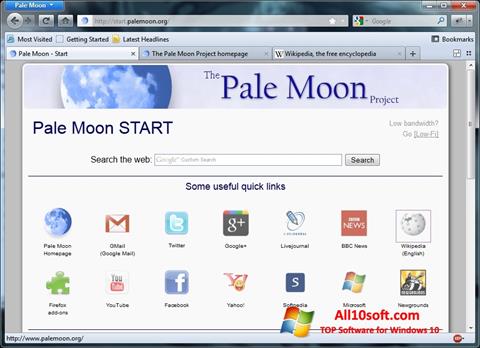 Petikan skrin Pale Moon untuk Windows 10